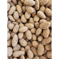 Cœur d’amandes caramélisées enrobées pate de noisette Gianduja, poudrées de cacao en vrac