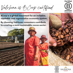 Chocolat noir Valrhona - Caraïbe - 66% de cacao